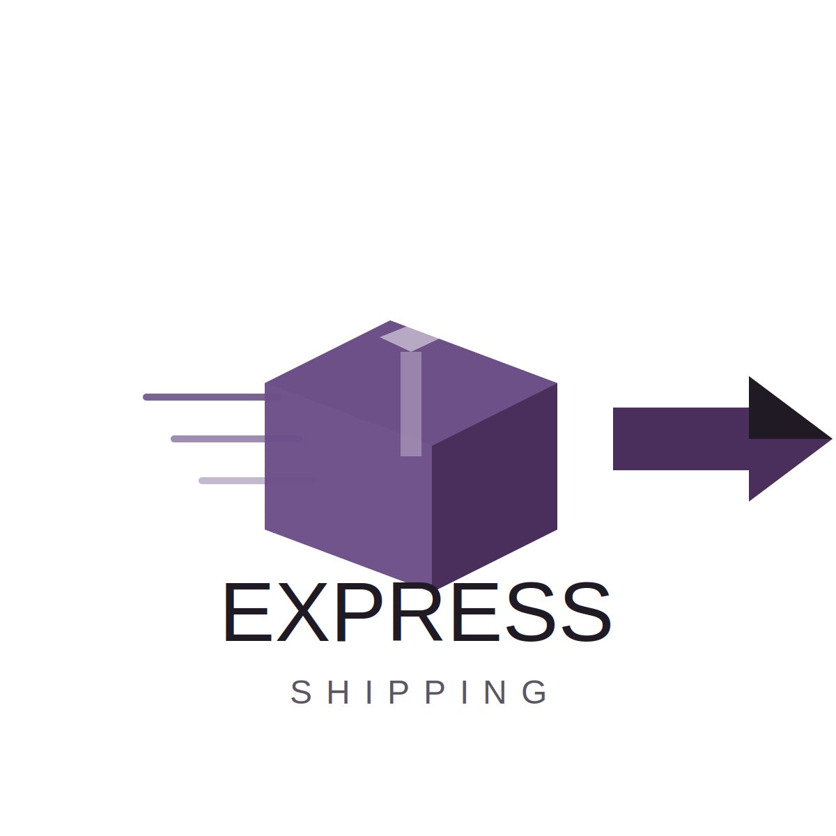 Express Shipping